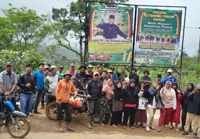 Penanaman  perdana program ketahanan pangan mandiri Niniak Mamak Kampuang Pinang beserta cucu kamanakan di  Tonang Talu.